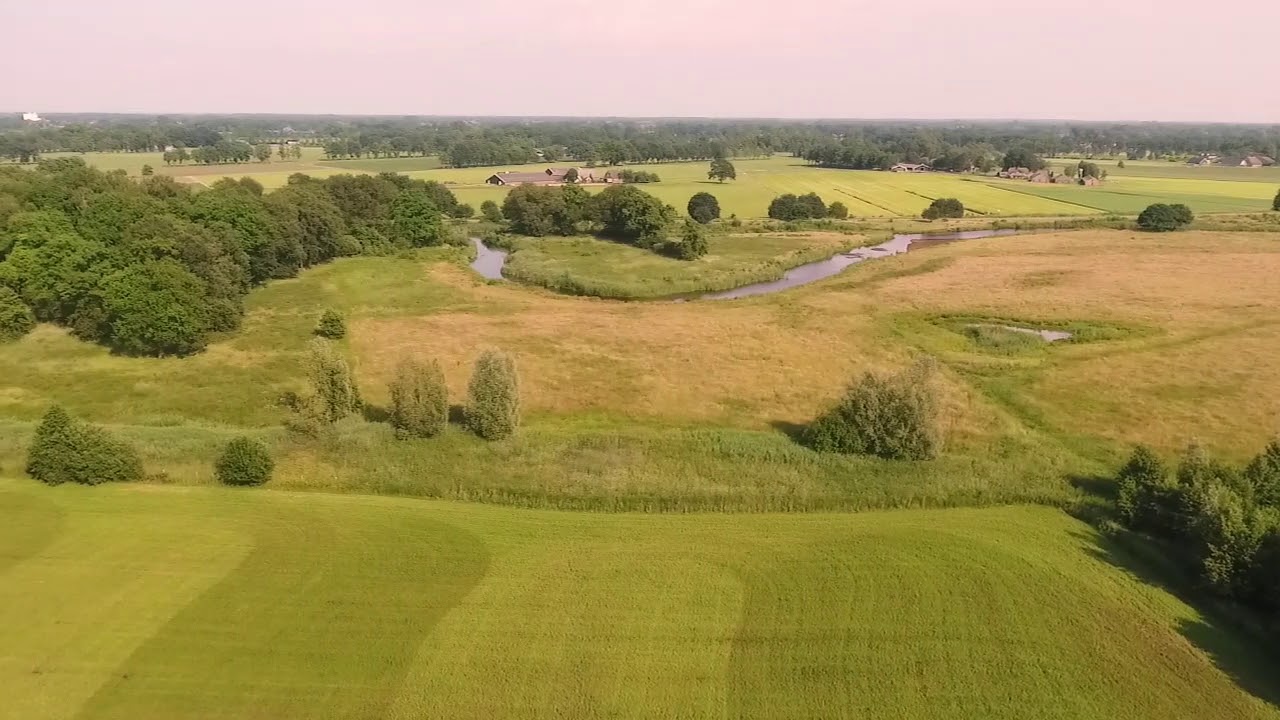 Lemele 011