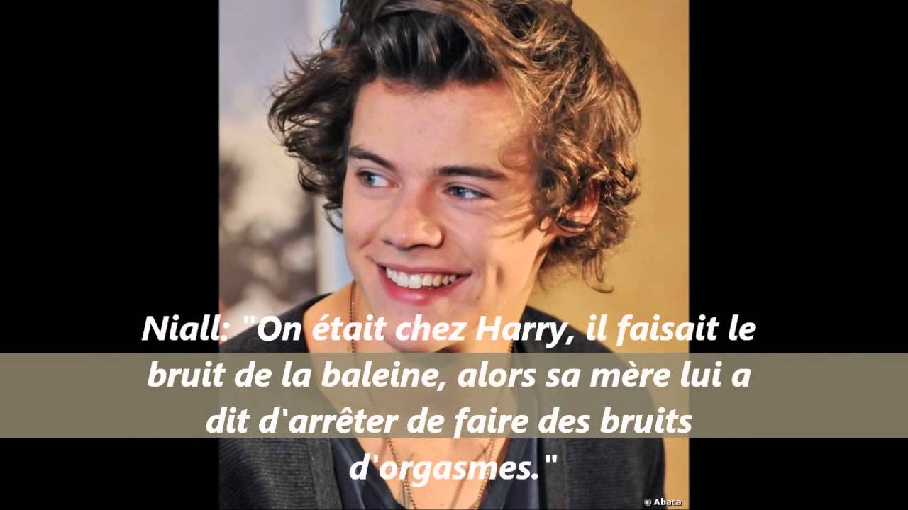 One Direction - French Facts //2013//