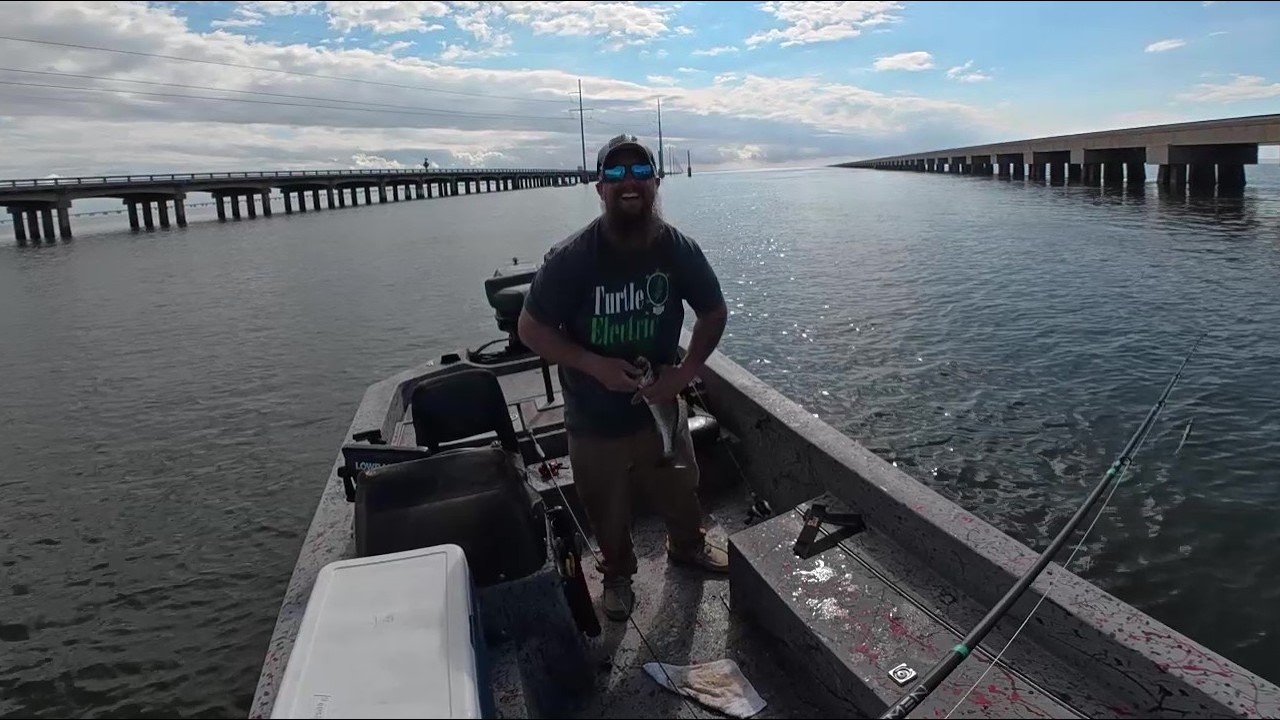 Speckled Trout At Trestle Lake Pontchartrain Bridge 