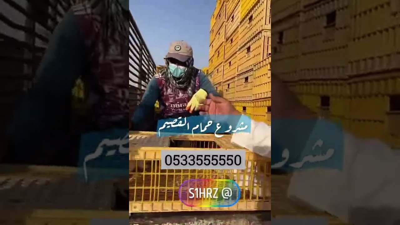 اعظم مشروع حمام