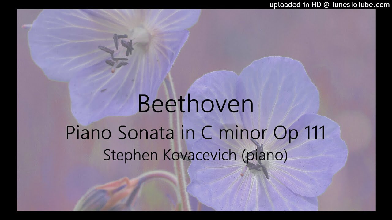 Beethoven: Piano Sonata in C minor Op 111 ~ Stephen Kovacevich (piano)