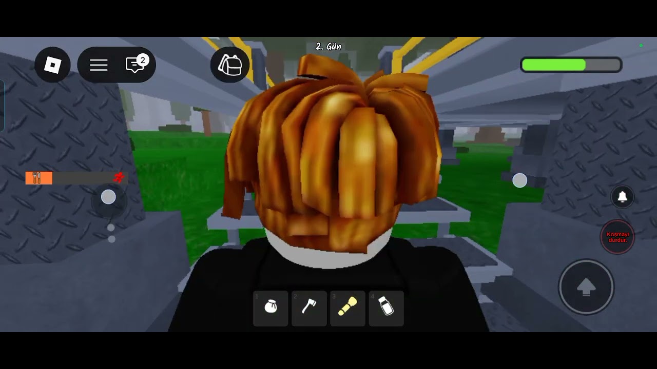 Roblox oyandım