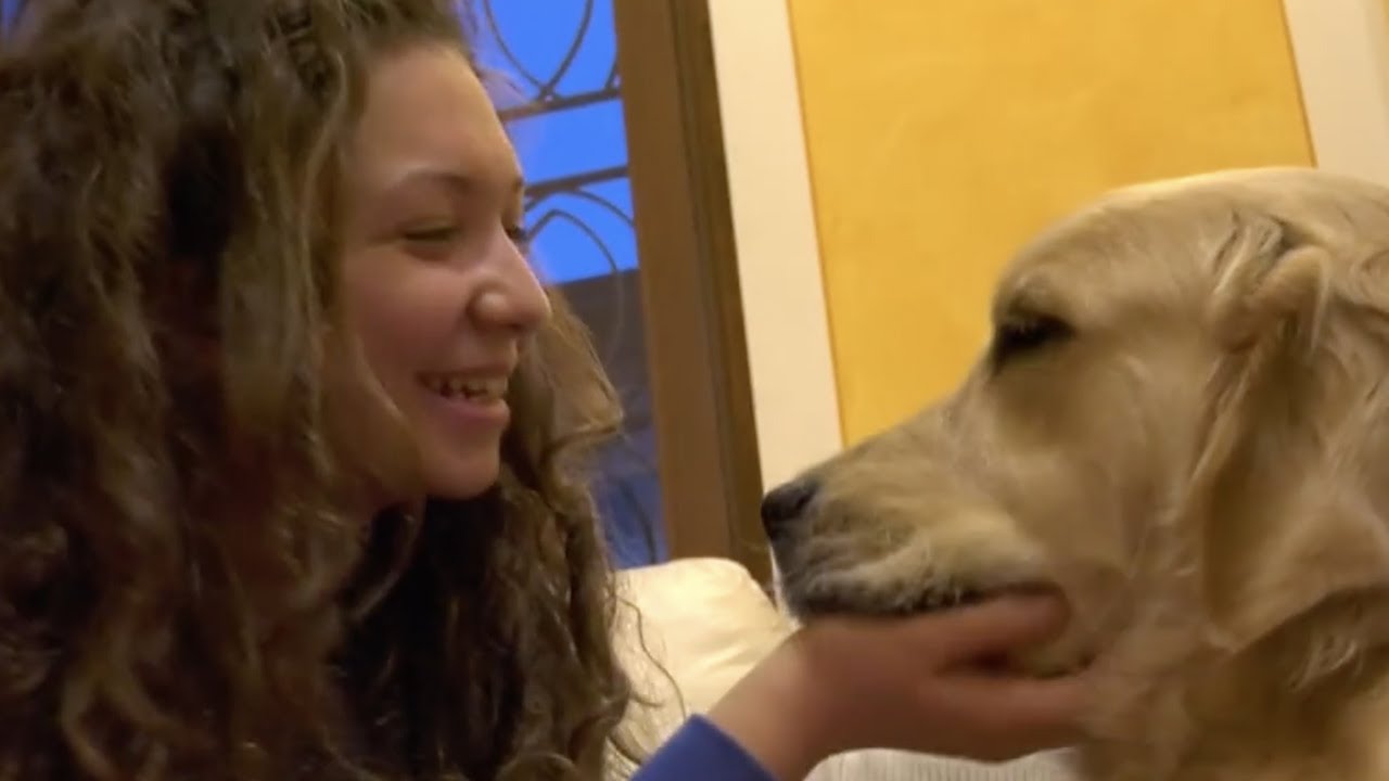 La storia di Chiara e Quincey, il suo cane allerta diabete