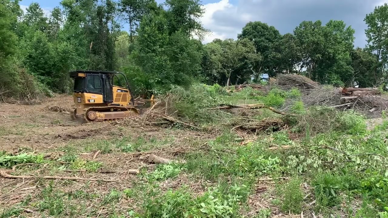 D5 and 320c Clearing Stumps and Logging slash