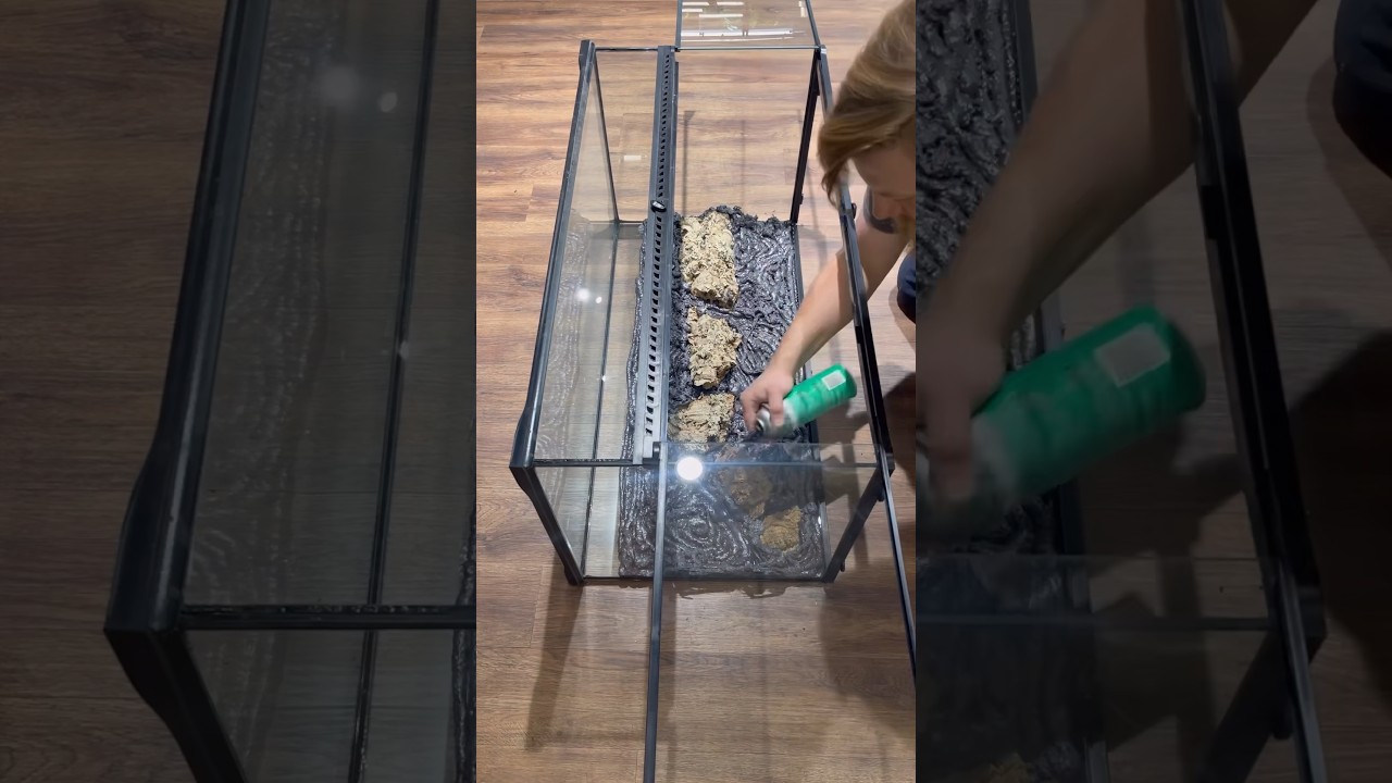 Bioactive Background Build #everevolvingexotics #leopardgecko #exoterra #bioactive #tutorial #geckos