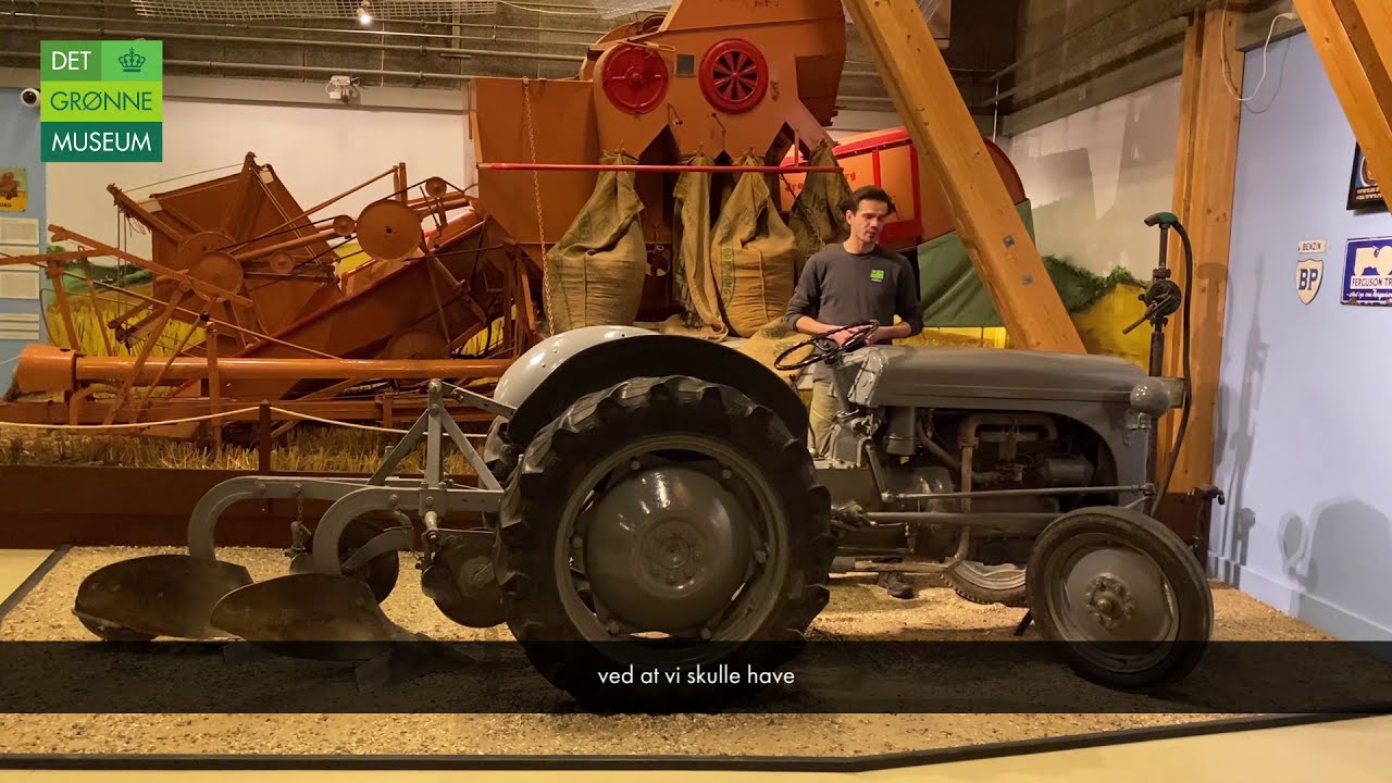 Hjemmeskole: Ferguson - den lille grå