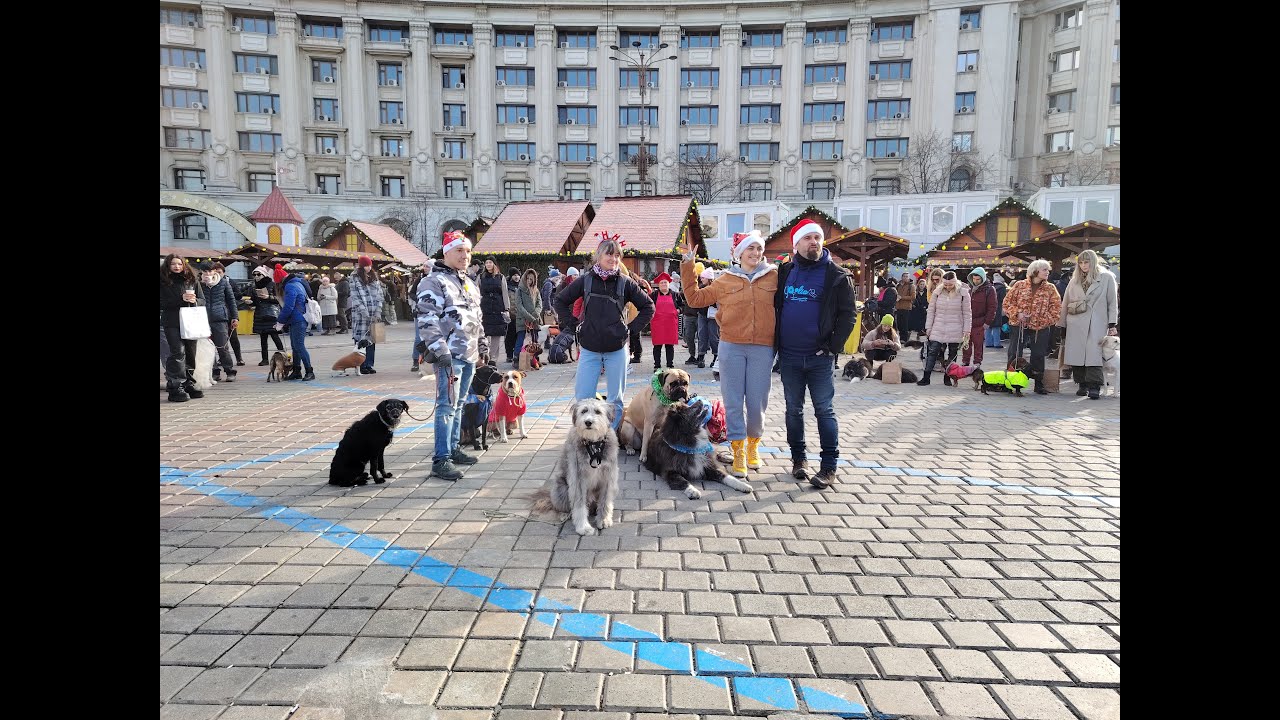 Xmas Pack Walk 2024