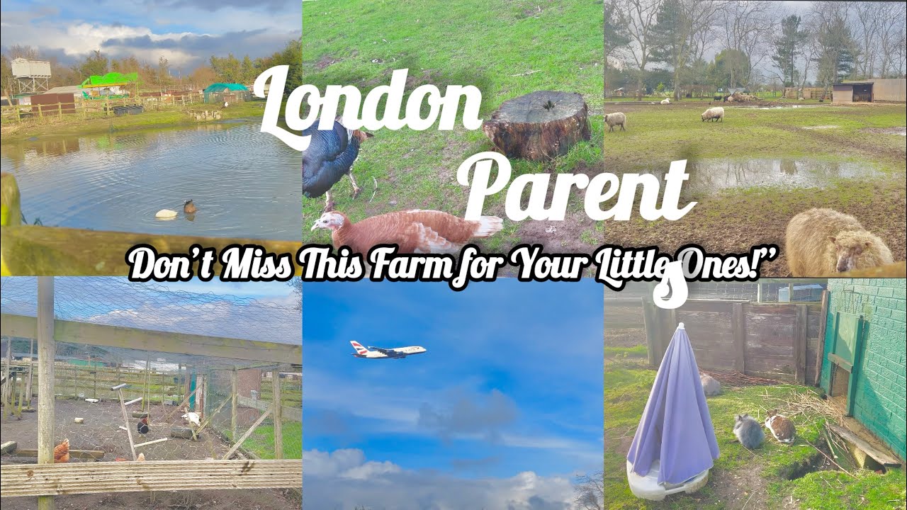 A Perfect Family Day at Urban Farm, Hounslow ✈️🐑 | Kids Love Animals Near Heathrow