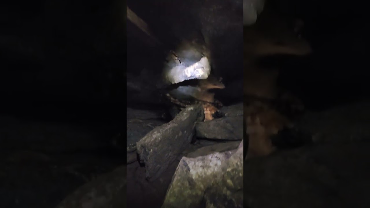 Adventure Shine Time episode 1 in the the muddy part of the cave. 