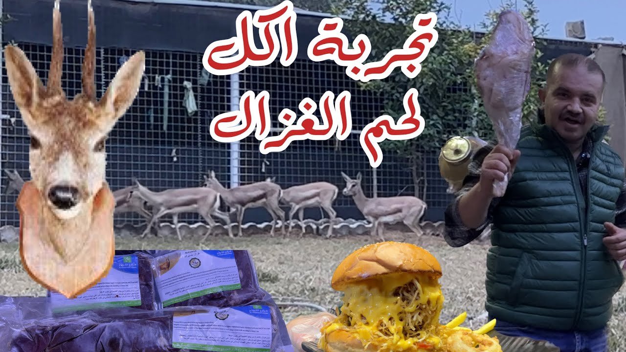 تجربة اكل لحم الغزال في بغداد🦌 وين يبيعون لحم الغزال ؟ و كم سعر الكيلو ؟