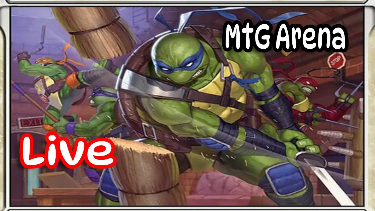 Ninja Turtle Day