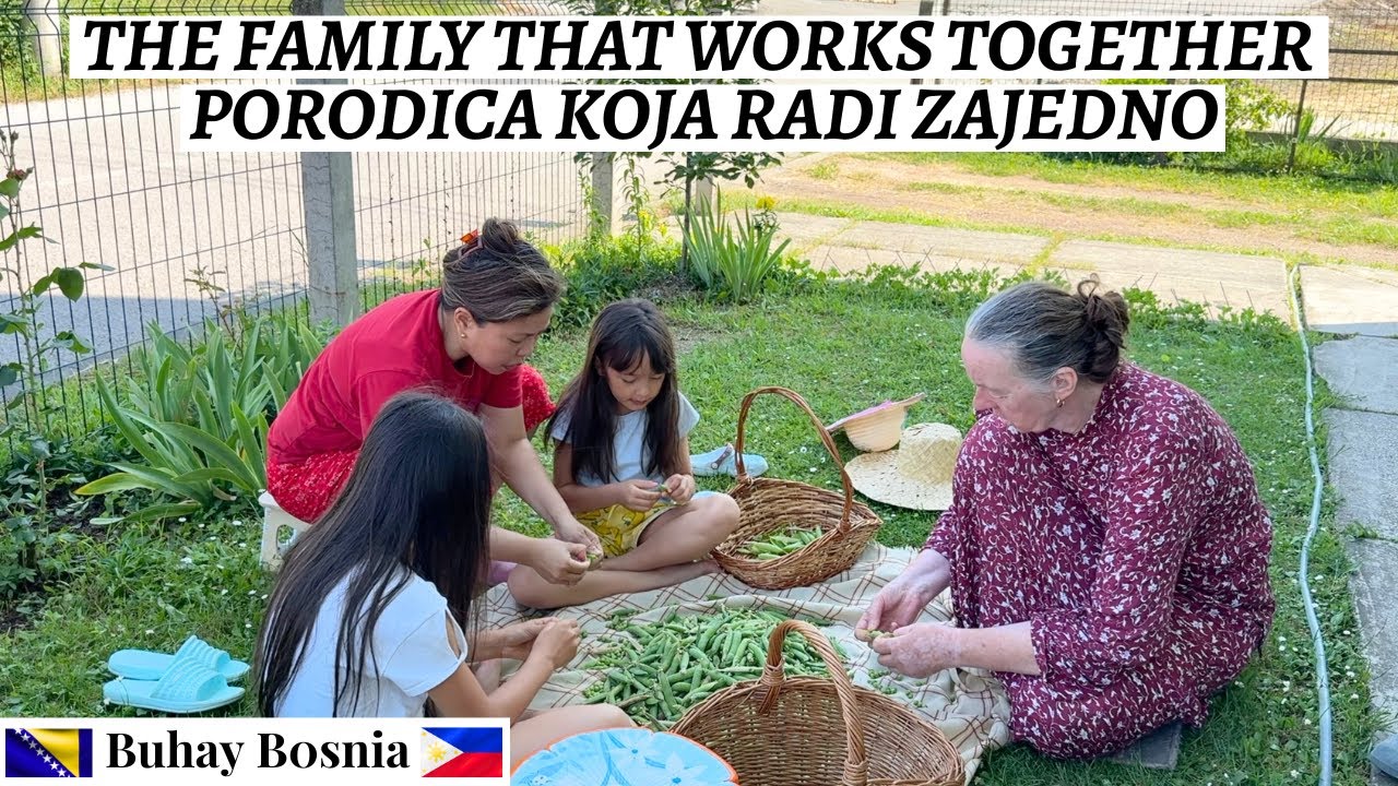 Beremo gra&scaron;ak i kuhamo odlično jelo | Harvesting our green peas and cooked a good meal