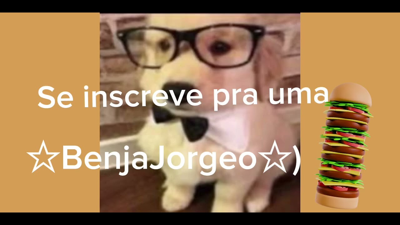 Novo Banner 