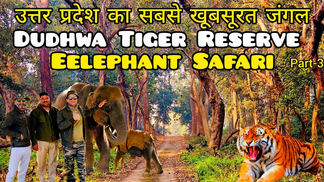 Dudhwa National Park | उत्तर प्रदेश का सबसे  खूबसूरत जंगल | Elephant Safari | Dudhwa Tiger Reserve
