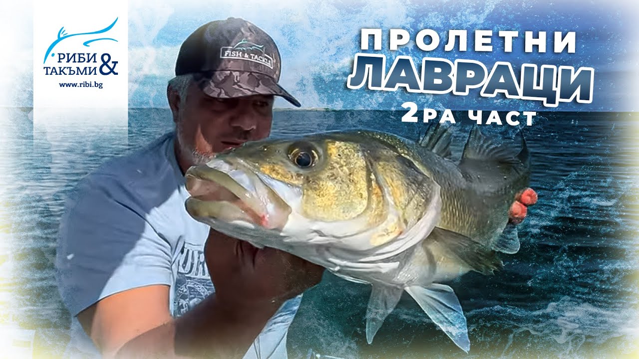 Пролетни ЛАВРАЦИ в плиткото - 2 част