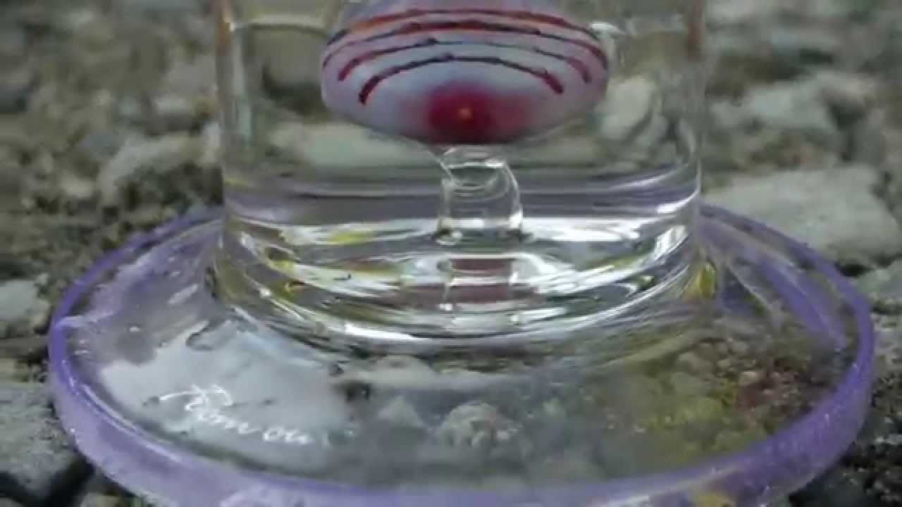 Pulse Glass The Leaning Tongue