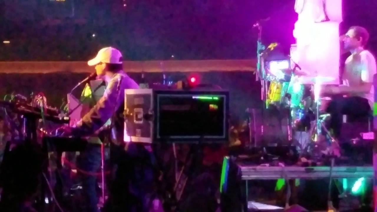 Animal Collective 