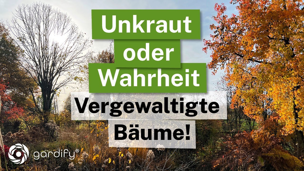 Unkraut oder Wahrheit: Vergewaltigte Bäume? - Die schockierenden Folgen bei falschem Baumschnitt!!