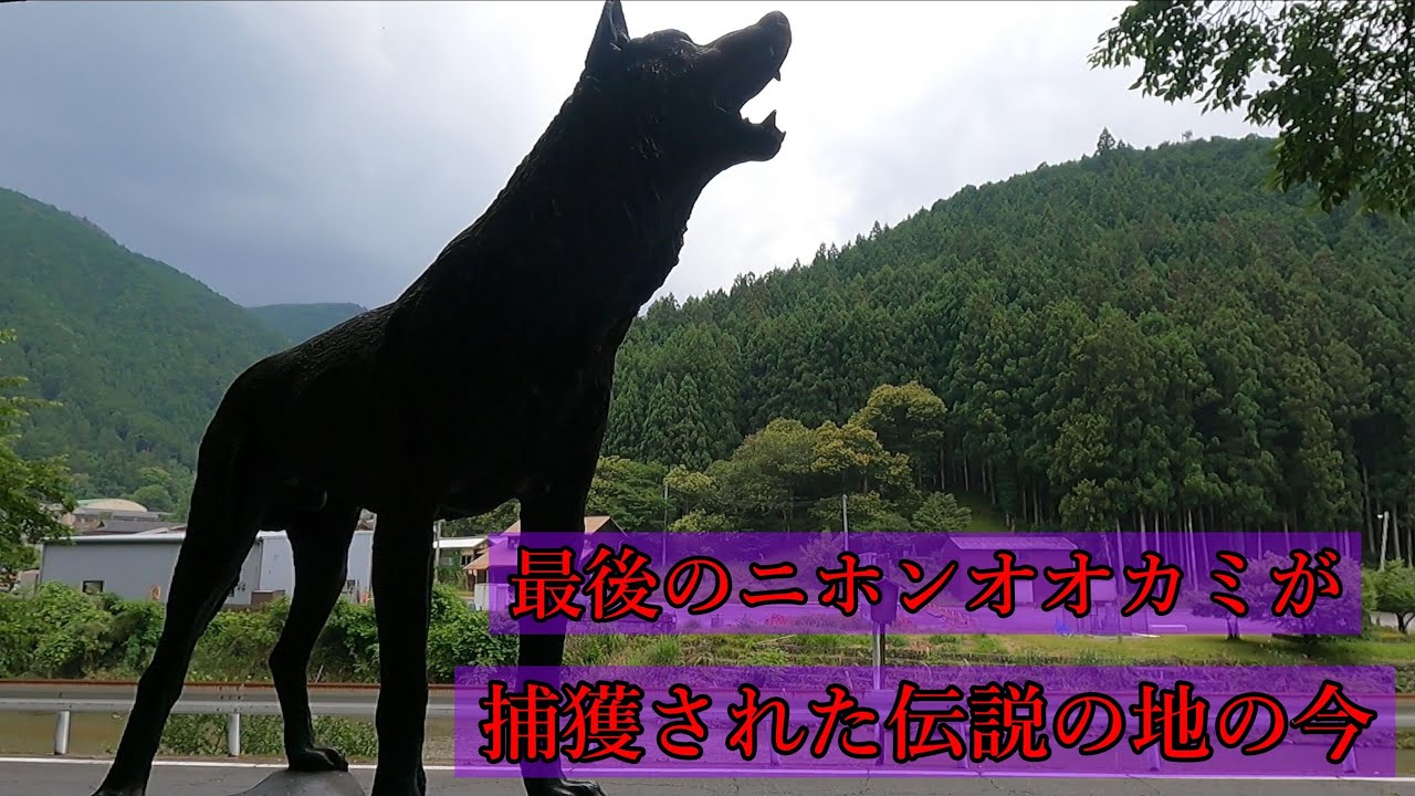 伝説が滅び・・伝説が生まれた地！ニホンオオカミ絶滅の地に追憶を求めて～