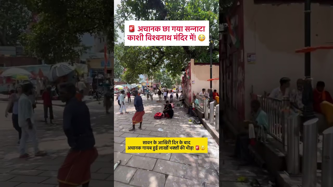 Varanasi latest update🚨 #kashi #varanasi #sawan #update #kashivishwanath #mahadev