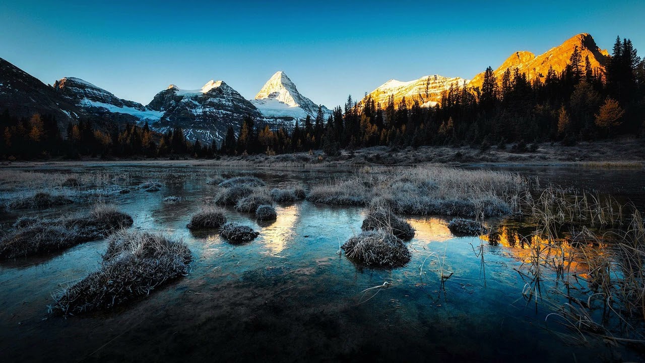 The nature photo that turns the TV into a painting | tv nizi tabloya dönüştüren doğa manzarası