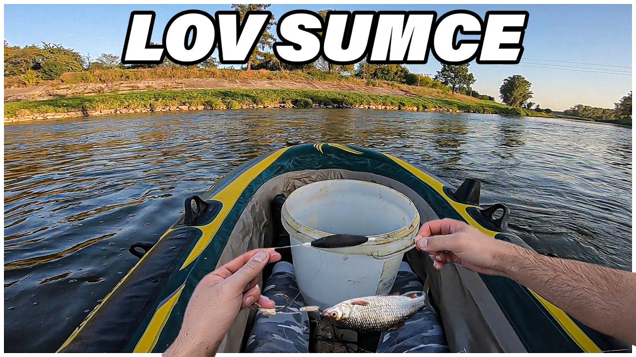 AMATÉR - Lov sumců pomocí podvodního splávku, rybka, rousnice