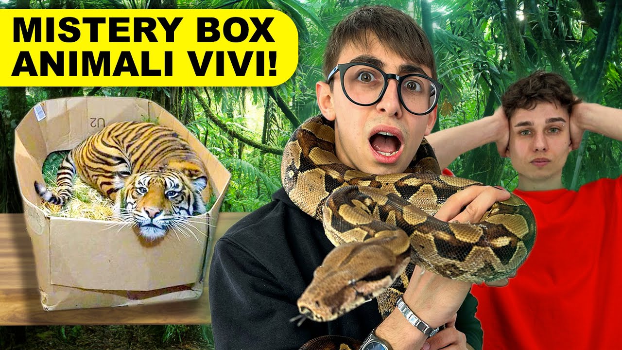 APRO UNA MISTERY BOX DI ANIMALI VIVI! *follia pura*
