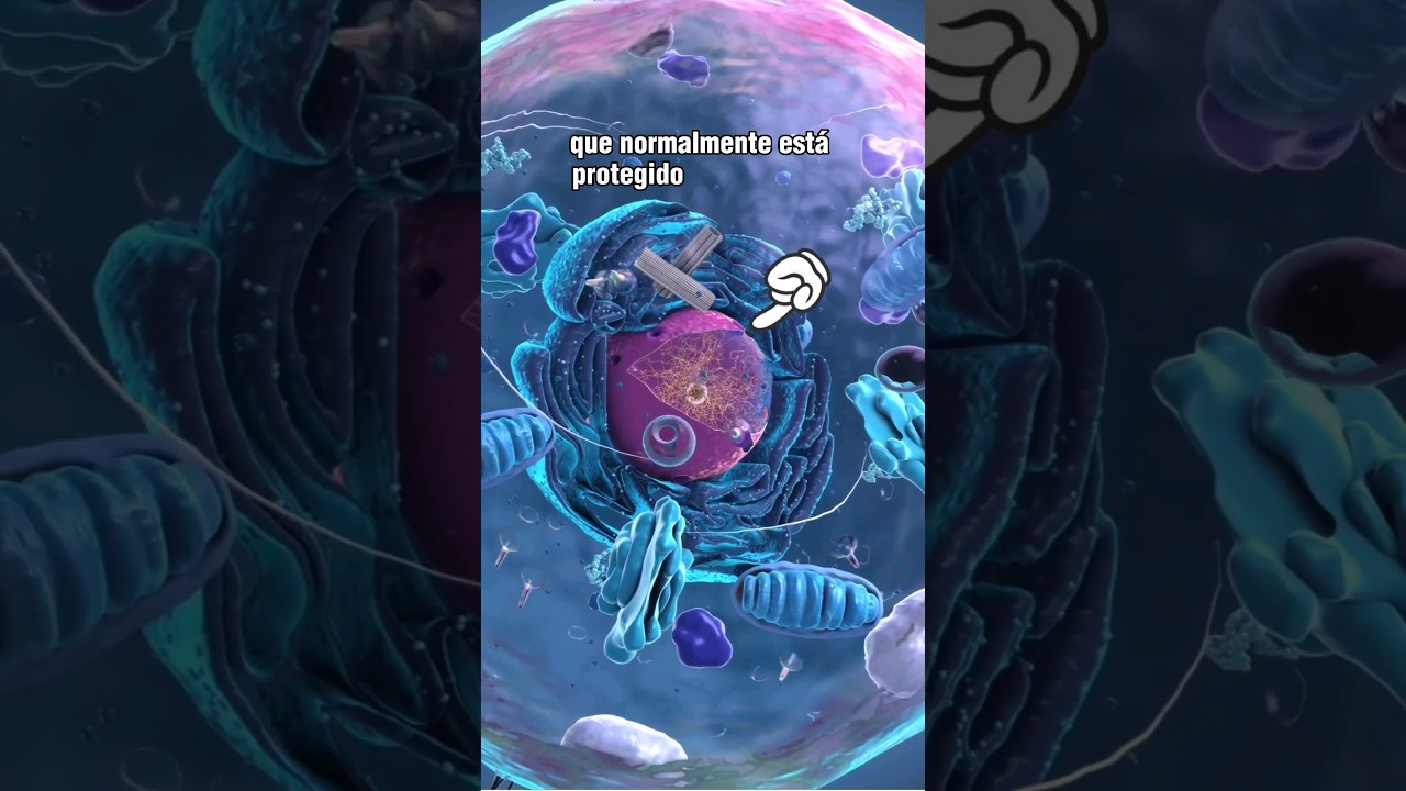 &iquest;Qu&eacute; es un CROMOSOMA? #ciencia #biologia #shorts
