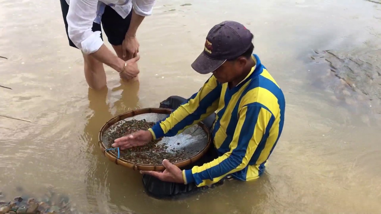 El Rio del Rubí de la Noche - Nicols Buscando Tesoros - Pailin Camboida