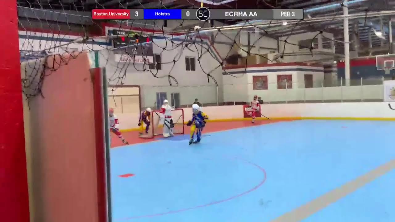 Boston University (AA) vs Hofstra (D3)