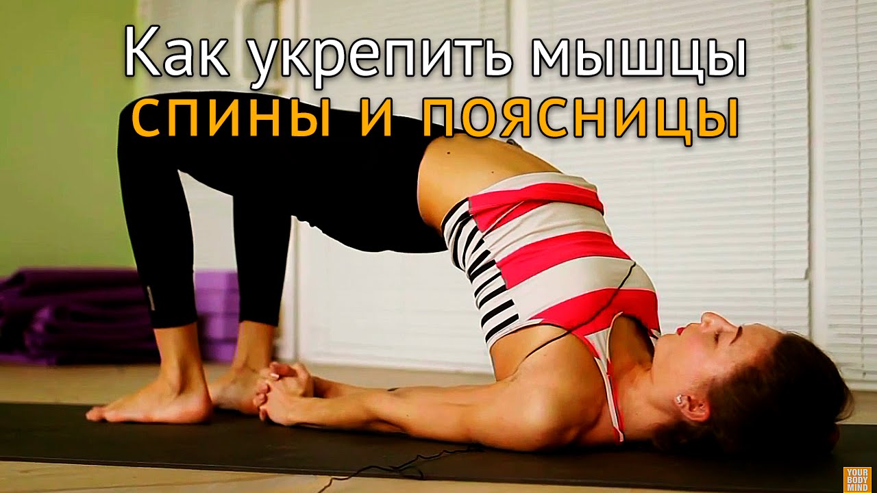 Как укрепить мышцы спины и поясницы