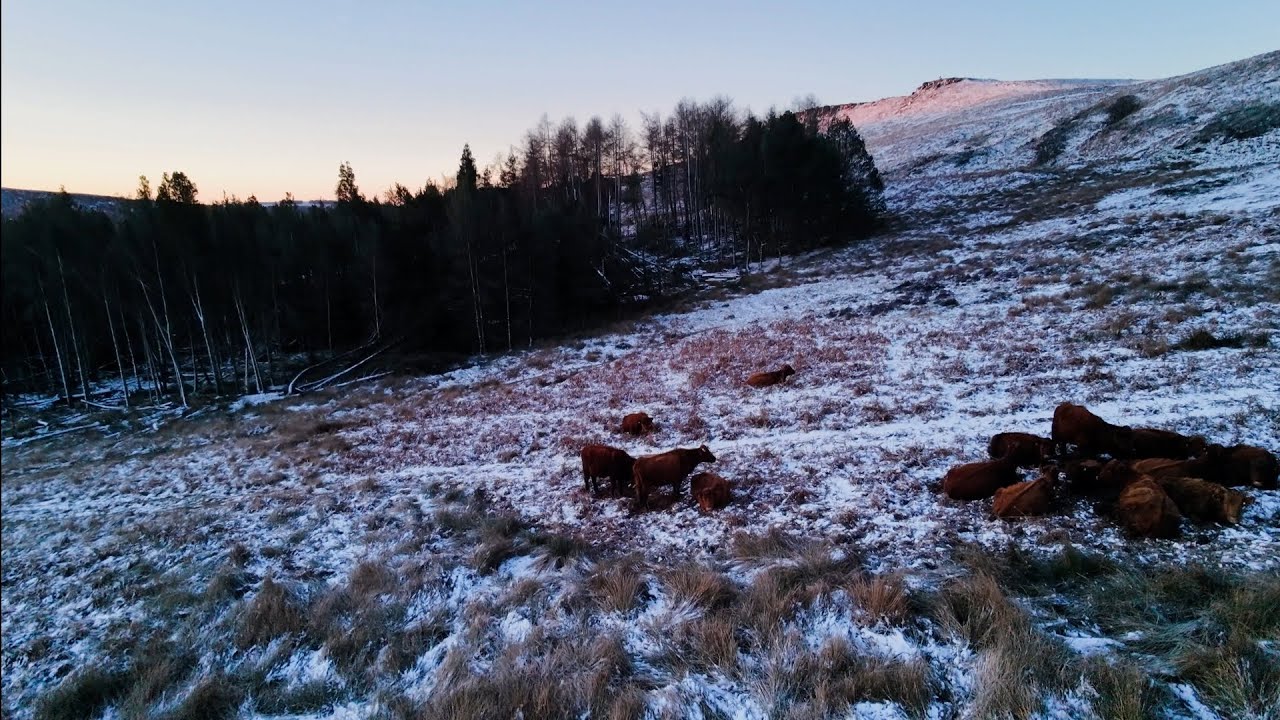 Snowy Sunrise Over the Peak District ❄️ | DJI Neo 2 Cinematic Drone Footage