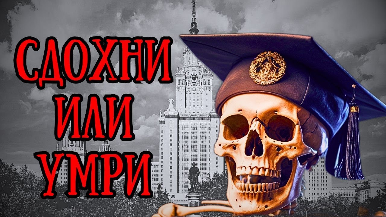 Как не умереть студенту?