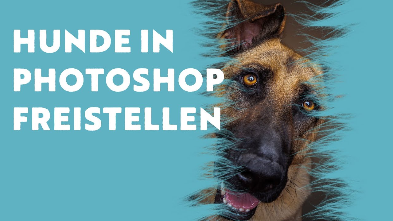Hunde in Photoshop freistellen + Fell Pinsel (Brushes)