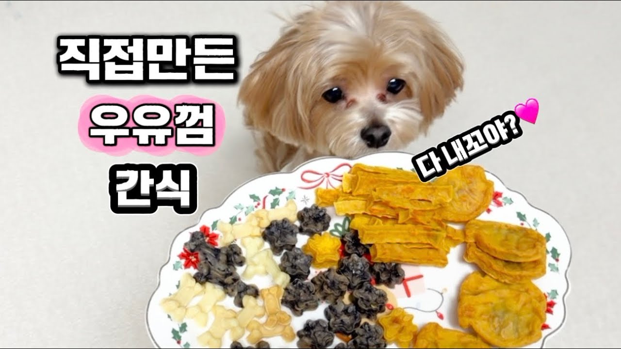 진짜 모든 강아지가 좋아하는 최고의 간식! 우유 껌 만들어 봤어요(엄청 쉬워서 놀람)