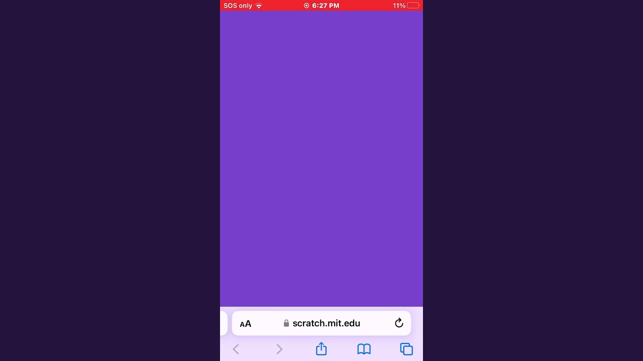 I saw a static purple screen on Scratch when I tried to look at my projects :(