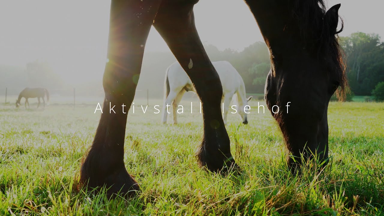 Imagefilm Aktivstall Isehof