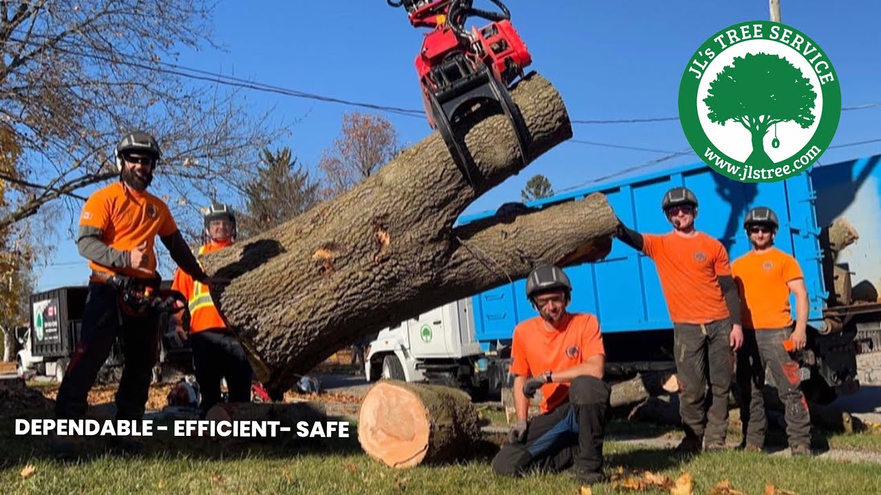 JL&rsquo;s Tree - Remote Control Tree Removal