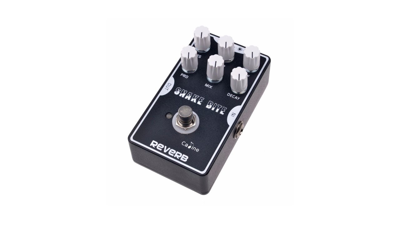 Caline Snake Bite Reverb Demo 2