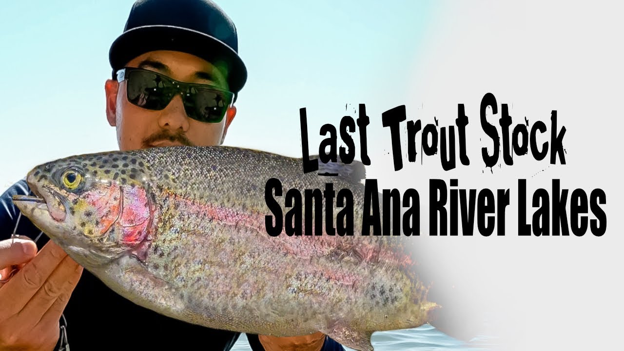 2023 LAST TROUT STOCK AT SANTA ANA RIVER LAKES | Trout fishing