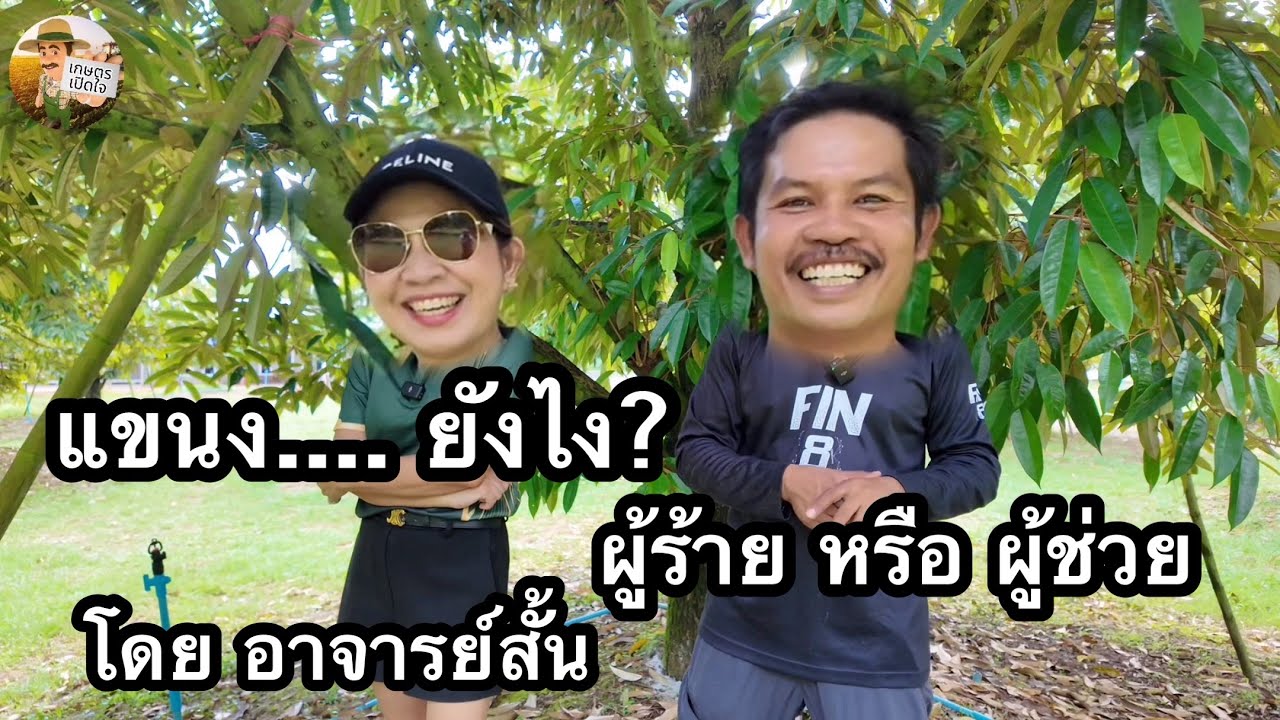 แขนง มันเป็นยังไง เป็นผู้ร้ายหรือผู้ช่วยกันแน่ เทคนิคการเรียกประโยชน์สูงสุด | อาจารย์สั้น