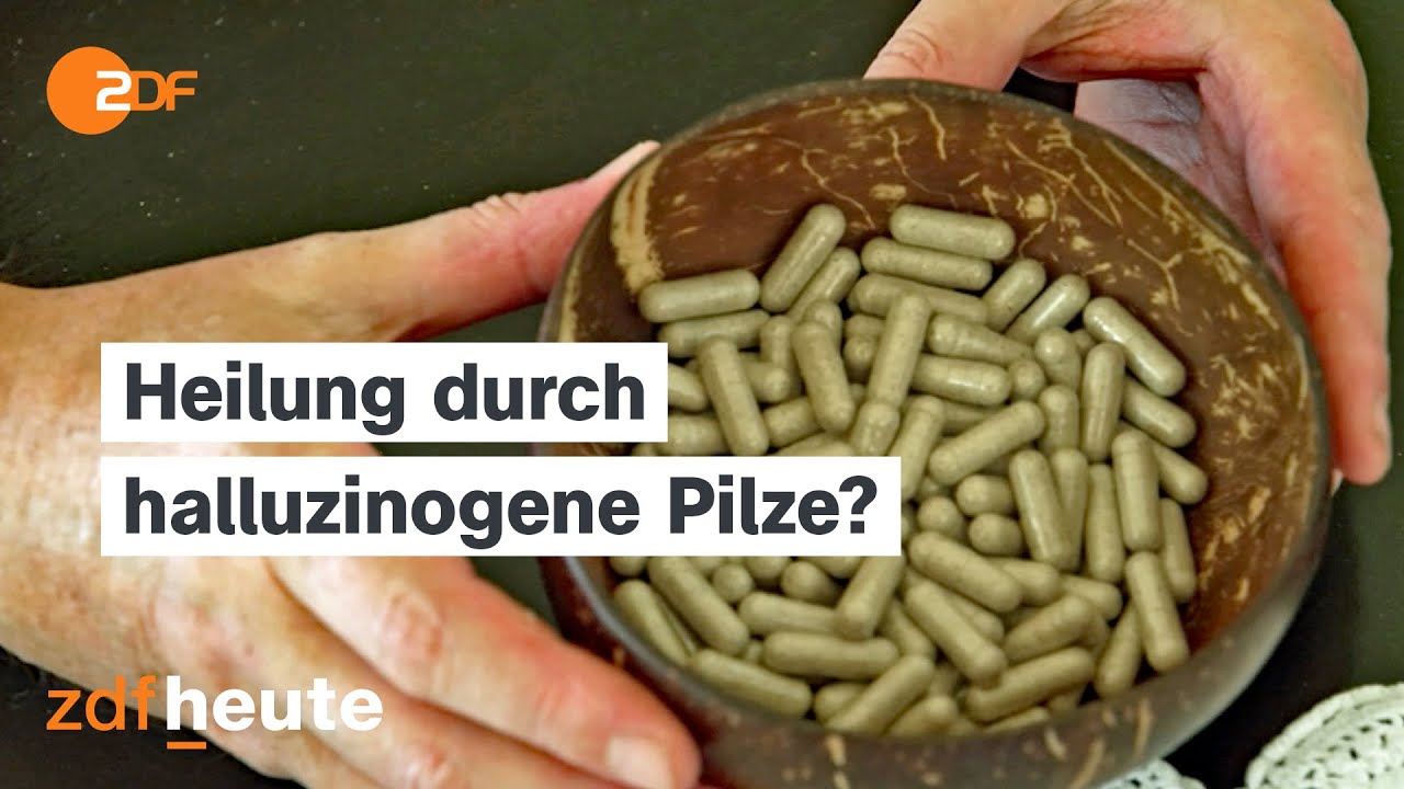 Pilz-Psychedelika als Medizin? 