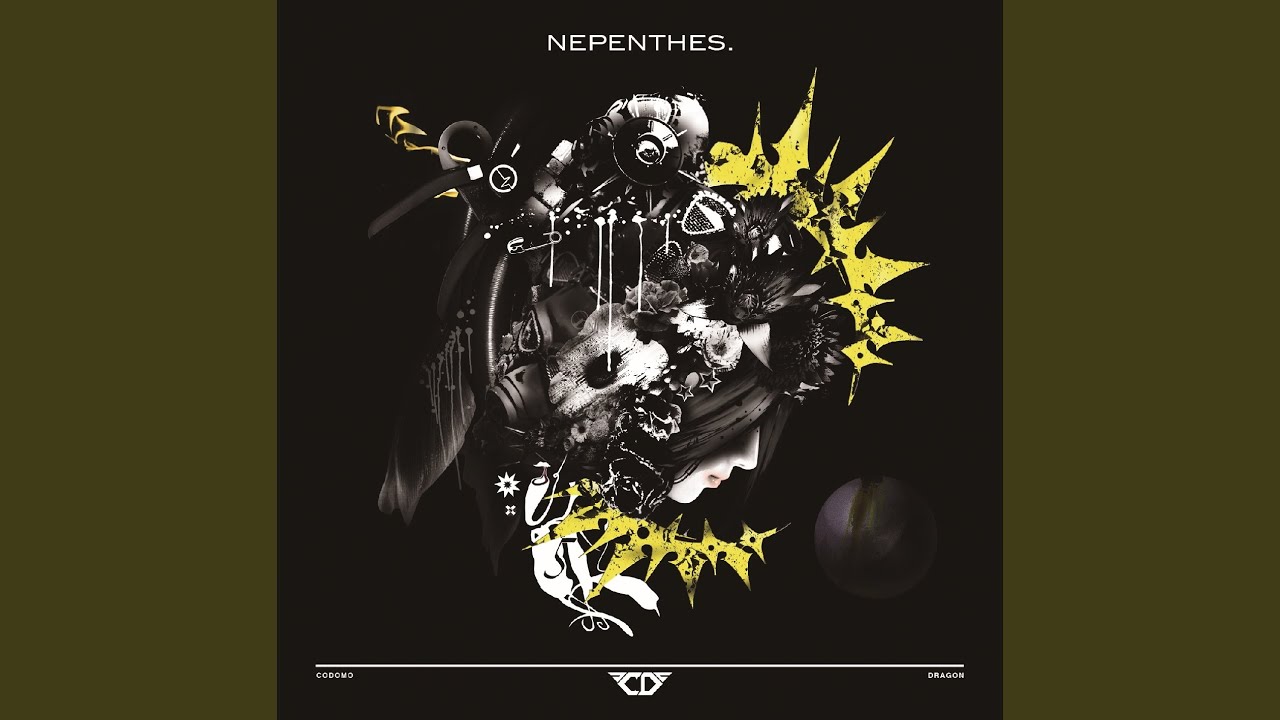 NEPENTHES.