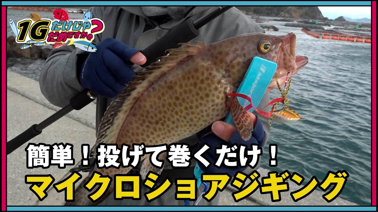 【ヒロセマンTV】超簡単ショアジギング　NEWロッドの実釣テストで冬の堤防釣りを楽しむのじゃ！（１Gだけじゃだめですか？）