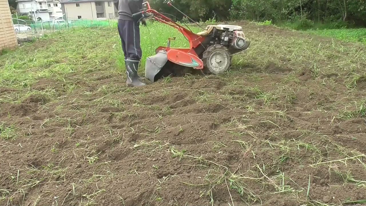 とりたてて作物を栽培してはいないのですが雑草が半端ないので草刈りがてら耕運機をかけます💦