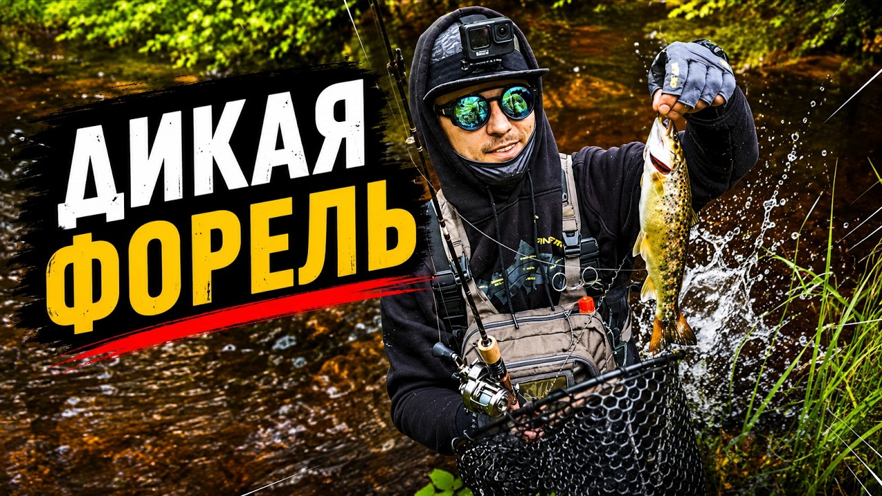 Поход за форелью. Она думала, что будет лёгкая прогулка