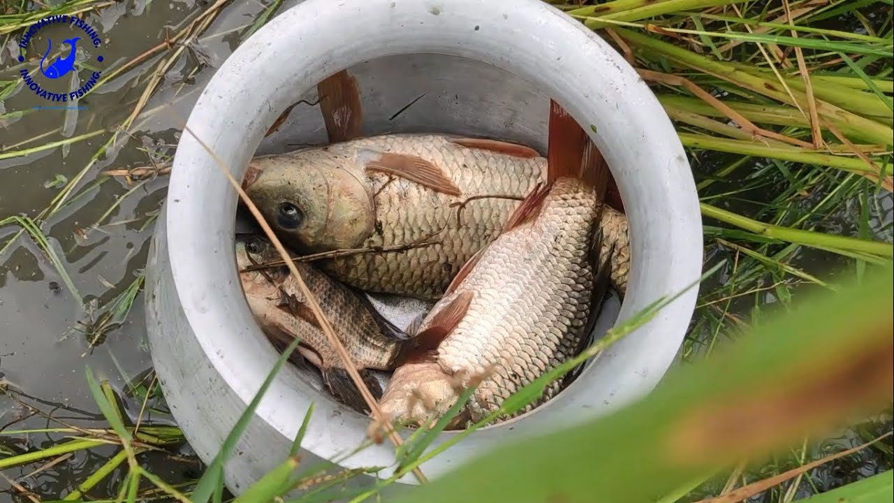 What a live fish caught by young boy