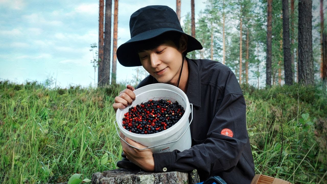 Самообеспечение в Финляндии | Сбор бесконечной дикой черники в финском лесу