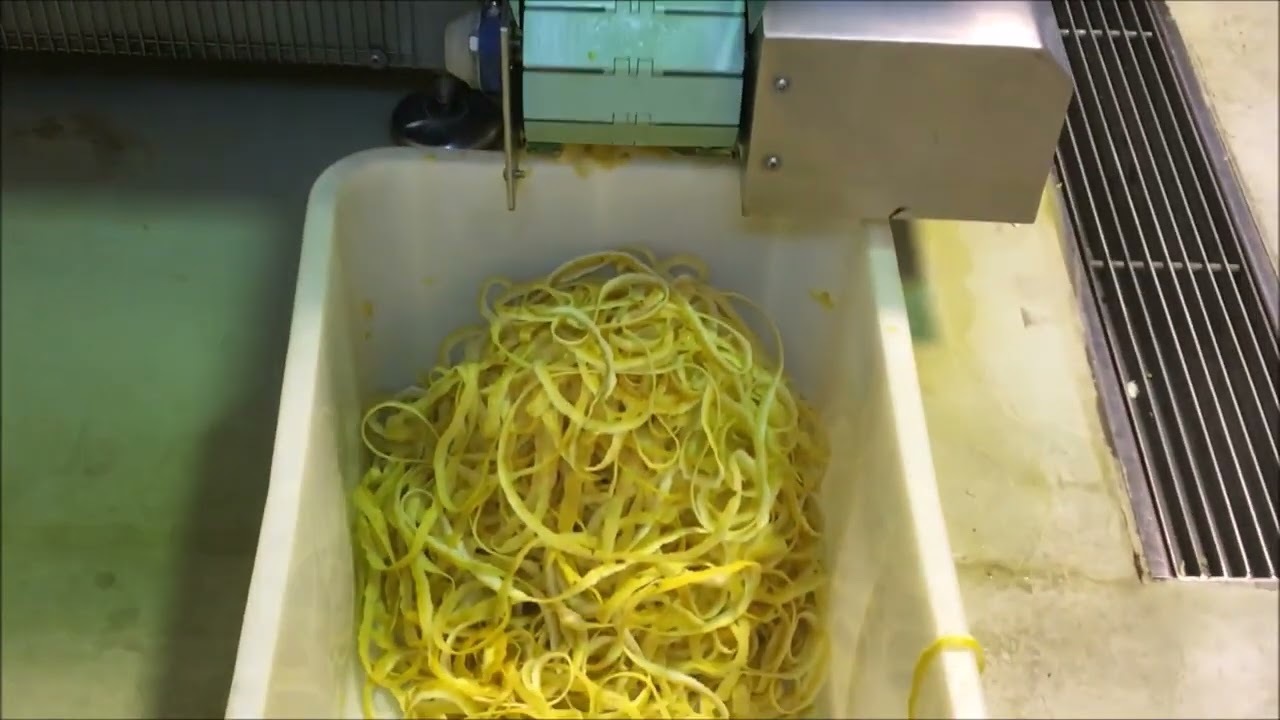 Zesteur Canneleur eplucheuse zeste fruits machine à éplucher agrumes citrus peeler limoncello