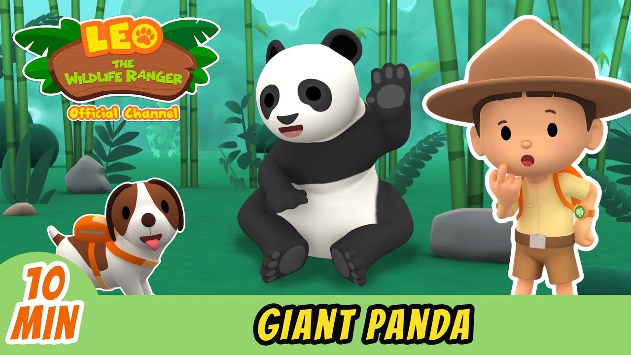 Giant Panda | Full Episode | Leo the Wildlife Ranger | Kids